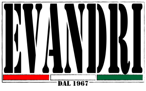 LOGO EVANDRI1a